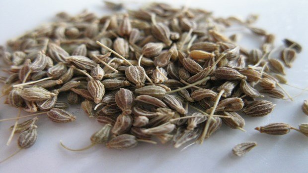 how to stop hiccups-anise seeds