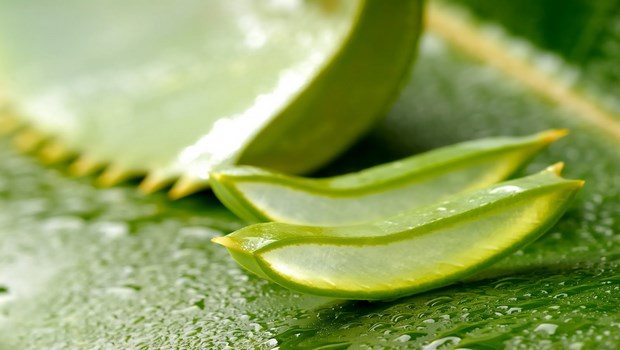 how to treat gerd-try drinking aloe vera juice