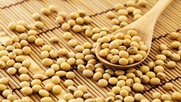 protein food sources-soybean