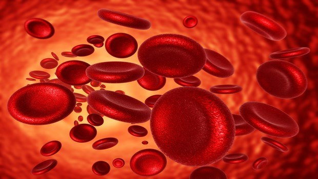 signs and symptoms of leukemia-anemia