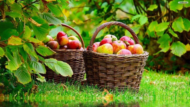 foods for hypertension-apples