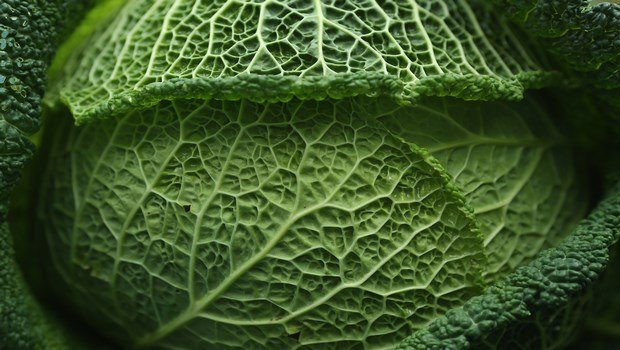 foods that cause bloating-brussels sprouts, kale and cabbage