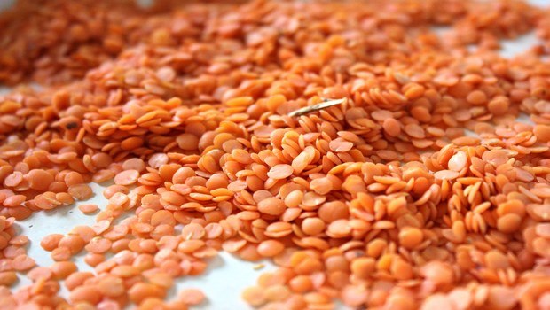 foods that cause bloating-lentils