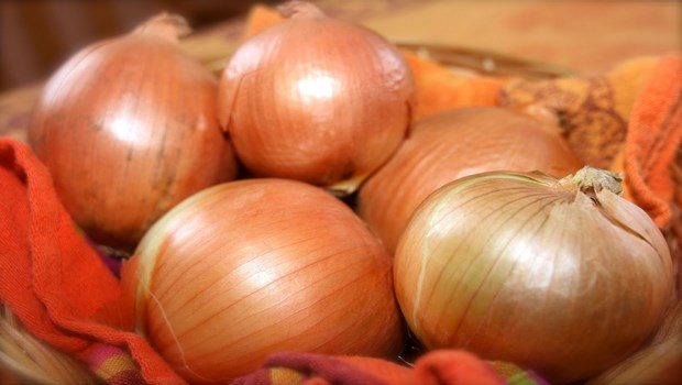 foods that cause bloating-onion