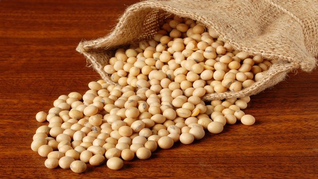foods to reduce high blood pressure-soybeans