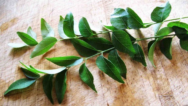 hair mask for hair fall-mask with curry leaves