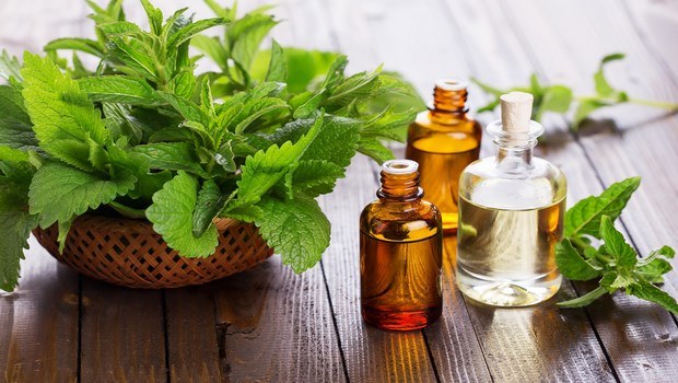 how to get rid of a stiff neck-peppermint oil