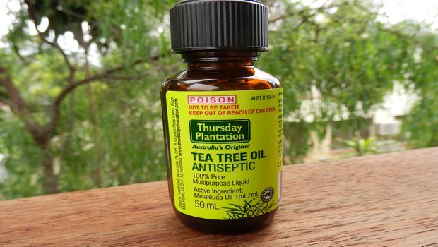 how to get rid of bed bug bites-tea tree oil