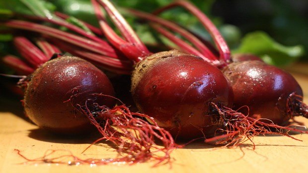 how to increase blood platelets-beetroot