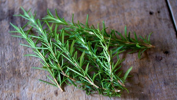 how to increase low blood pressure-rosemary