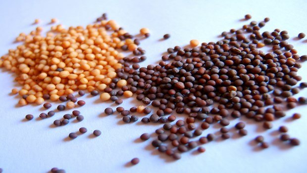how to treat ringworm-mustard seeds