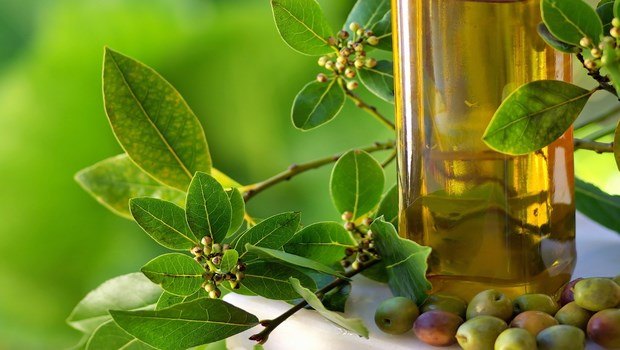 olive oil on skin-benefits of olive oil on skin
