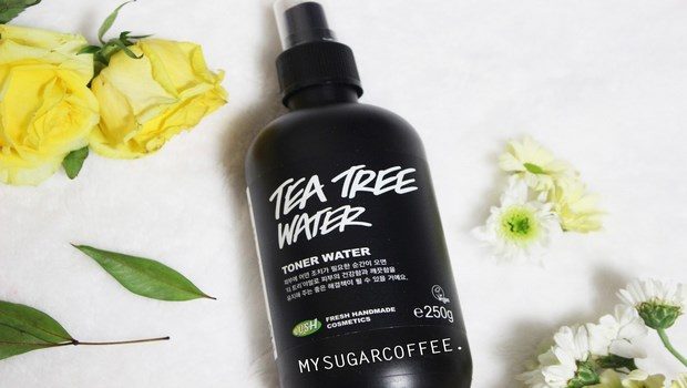 organic skin care-organic tea toner