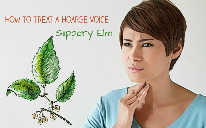how to treat a hoarse voice - slippery elm