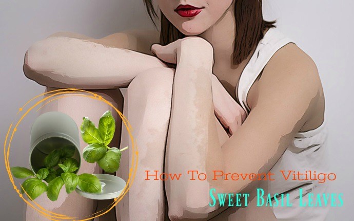 how to prevent vitiligo - sweet basil leaves