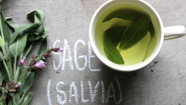teas for sore throat - sage tea