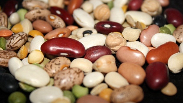 superfoods for weight loss - beans
