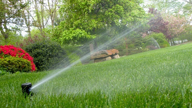 how to save water - care your lawn in a more water-efficient manner