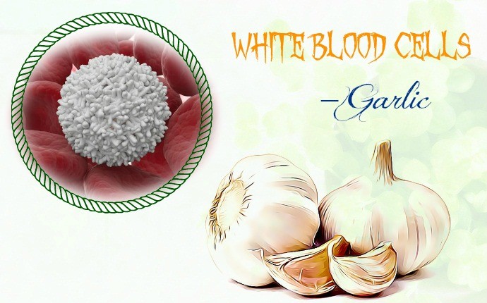 foods to increase white blood cells - garlic 
