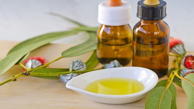 how to cure mrsa-eucalyptus oil