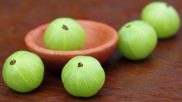 how to treat diabetes-indian gooseberry