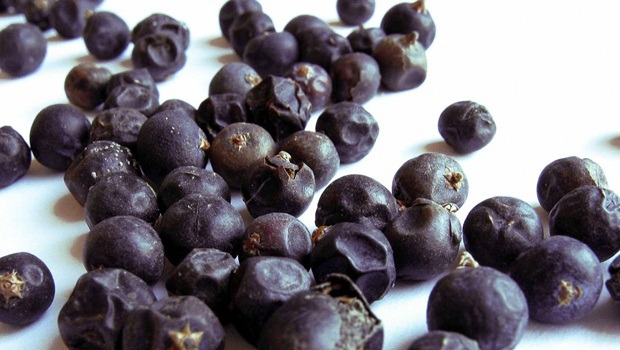 how to cleanse kidneys - juniper berries