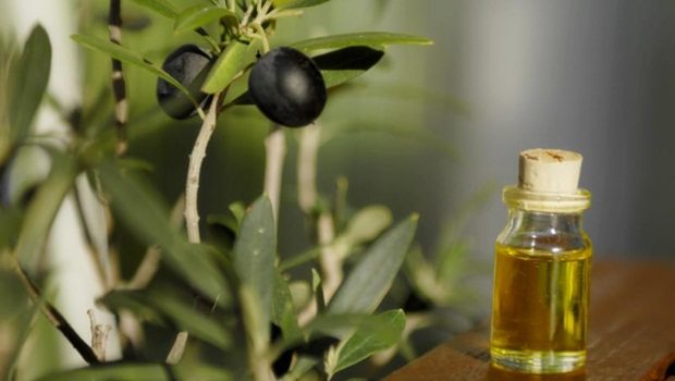 treatment for mrsa - olive leaf extract