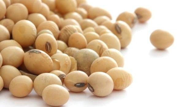 superfoods for weight loss - soy protein