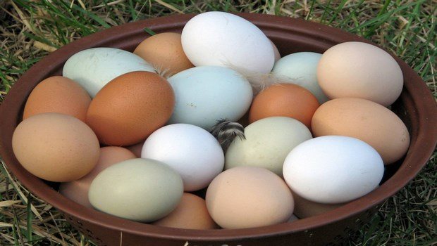 superfoods for hair-egg