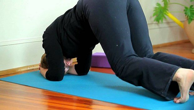 yoga poses for high blood pressure-the dolphin pose
