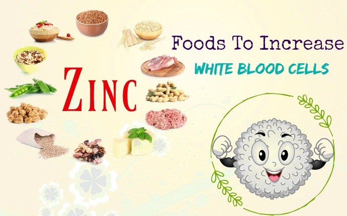 foods to increase white blood cells - zinc