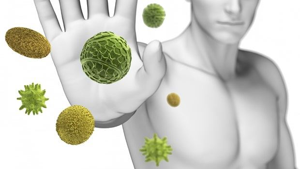 benefits of bitter melon - boost immunity
