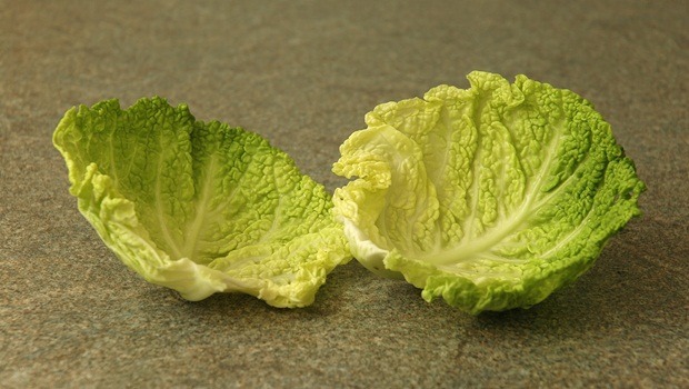 how to treat kidney pain - cabbage leaves poultice
