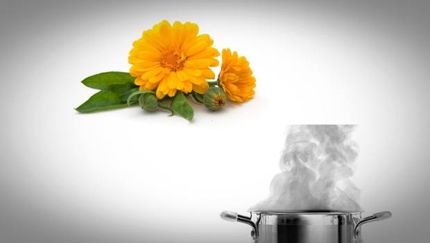 home remedies for athlete’s foot - calendula with boiling water