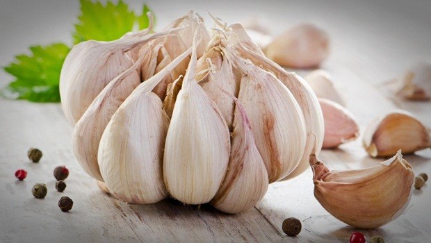 castor oil with garlic