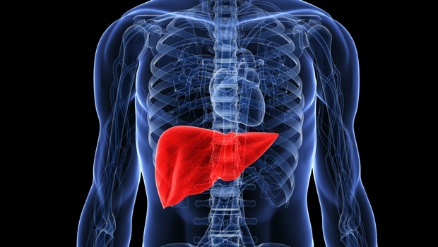 why is junk food bad - cause damage to liver
