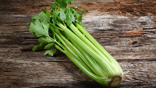 how to treat kidney pain - celery