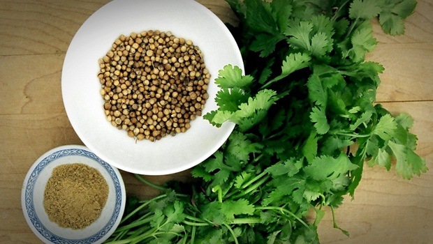 how to treat acidity - coriander leaves and coriander seeds
