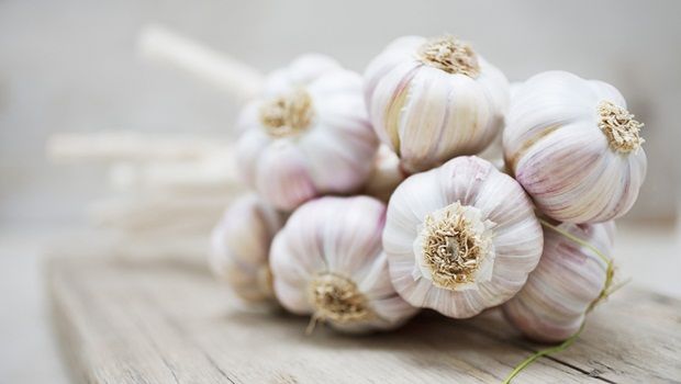 home remedies for genital warts - garlic
