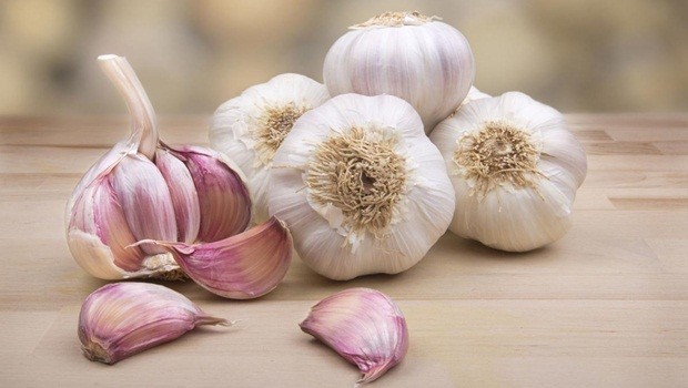how to treat kidney disease - garlic