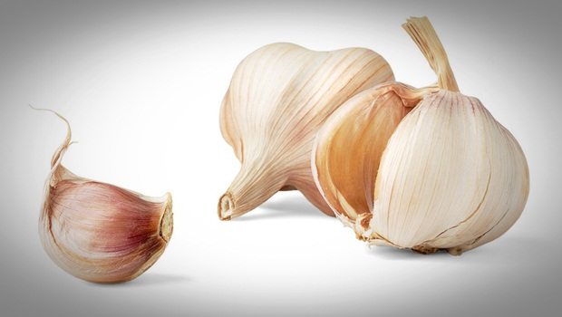 how to treat goiter - garlic