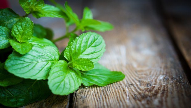 how to treat a tooth infection-peppermint