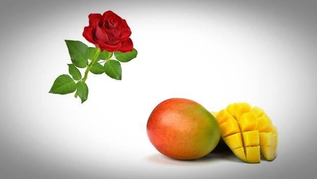 rose face mask - mango and rose face mask for glowing skin