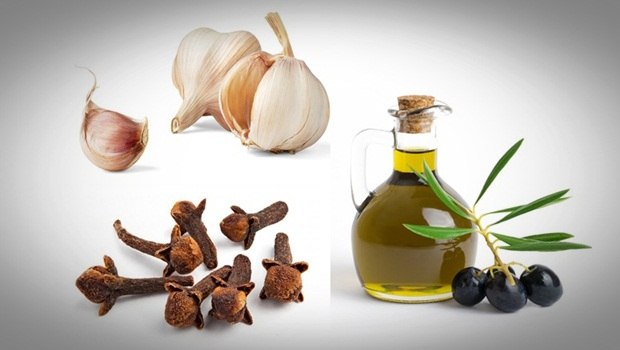 home remedies for ear wax removal - mullein fresh edible flower, garlic cloves, and olive oil