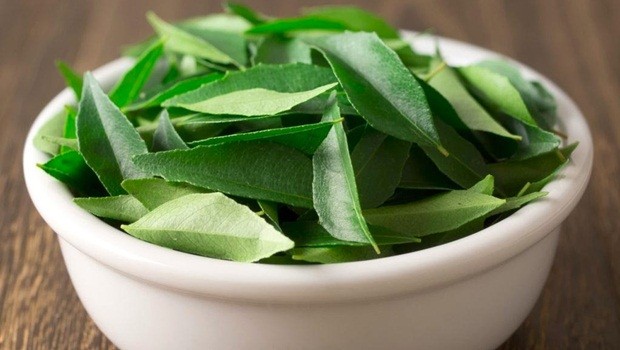 home remedies for vaginal odor - neem leaves