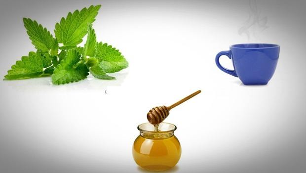how to treat acidity - spearmint leaves, hot water, and honey