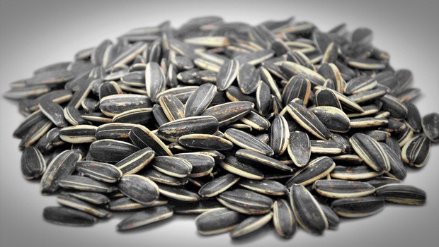 sunflower seeds, pistachios and pine nuts