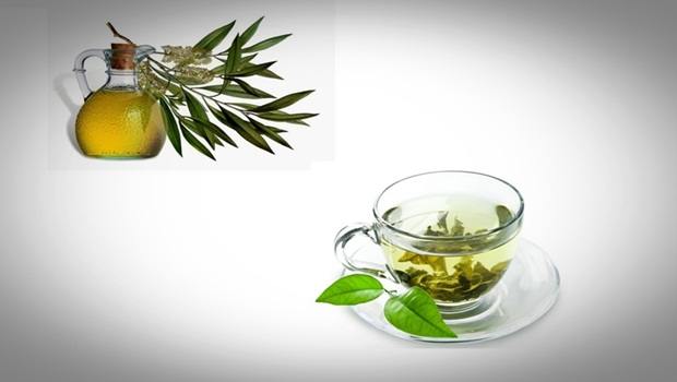 green tea face mask - tea tree oil and green tea face mask