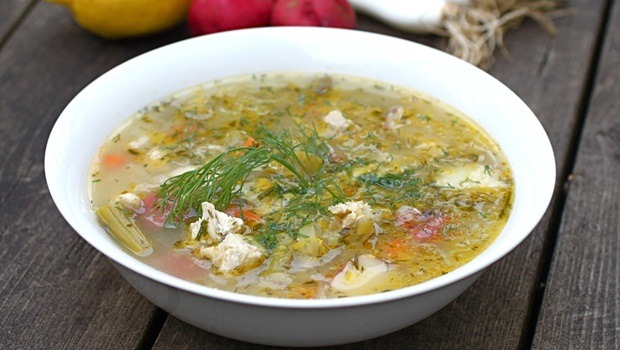 vegetable soup diet - vegetable and spring chicken soup