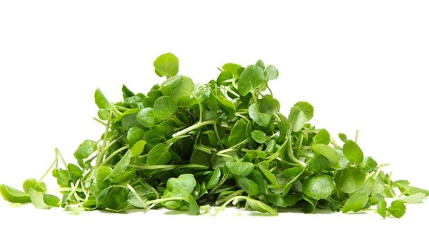 foods for water retention - watercress